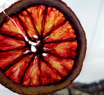 Dehydrated Blood Orange Slices - Fruits By Pesha
